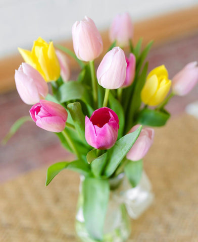 Tulips by the Dozen!